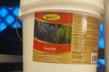 Pond Salt